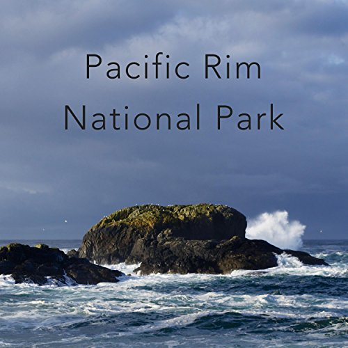 Ocean Waves at Pacific Rim National Park, Vancouver Island, Canada