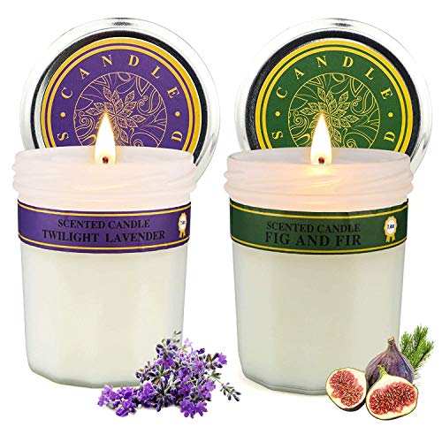 Velas Perfumadas, 100% Cera de Soja, Juego de Regalo, Relajación, Alivio del Estrés, Fragancia para el Hogar, Refresco de Aire, 2 Paquetes, Cada uno de 8 Onzas