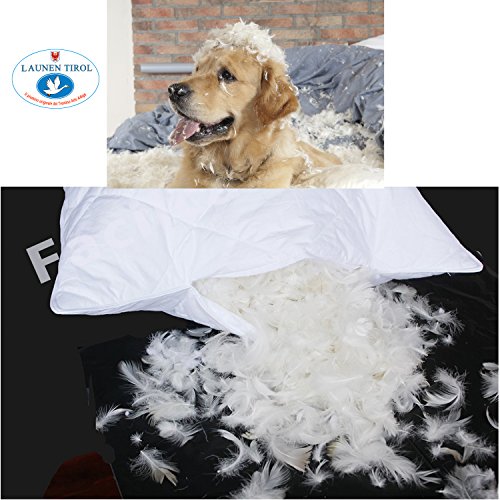 2 Almohadas de Plumas de Ganso. Almohada de Cama con Relleno de Plumón 100% Lavado y Esterilizado. Funda de Almohada de Puro Algodón Egipcio Soporte Medio Cómodo Lavable a Máquina (50x80x18cm)