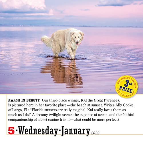 2022 365 Dogs Page-A-Day Calendar: The World's Favorite Dog Calendar