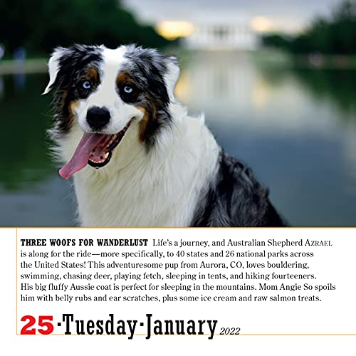 2022 365 Dogs Page-A-Day Calendar: The World's Favorite Dog Calendar