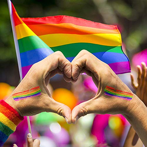 2*Cepillo de Arcoiris, Pinturas Faciales y Corporales para Gays y Lesbianas, Ideal para Fiesta Disfraces Desfiles Festivales-Maquillaje Fácil Tamano de Bolsillo Cepillo Fácil