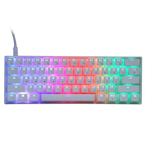 61 Keys RGB Backlight Elite RGB Gaming Mechanical Keyboard for Windows Gaming PC Wired Type‑C with RGB Light LED Backlit Red Axis for Computer