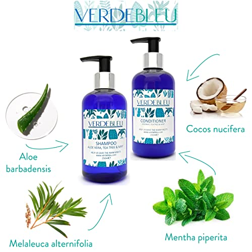 99% Natural ACONDICIONADOR CABELLO GRASO - COCO, ÁRBOL DE TÉ Y MENTA - 250ml de VERDEBLEU. Sin Sulfatos, Sin Parabenos. pH 5.5. Donamos el 5% de Ganancias para Ayudar a Salvar los Bosques Lluviosos.