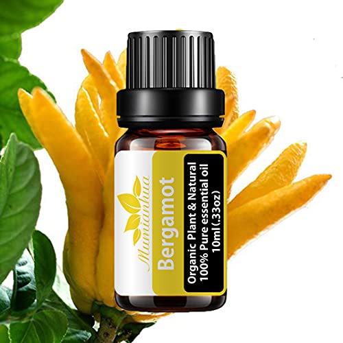 Aceite esencial bergamota ecologico para piel, aceites esenciales bio bergamota para difusor Aceite fragancia bergamota grado terapéutico Mumianhua 10ml aceite esencial afrutado para humidificador