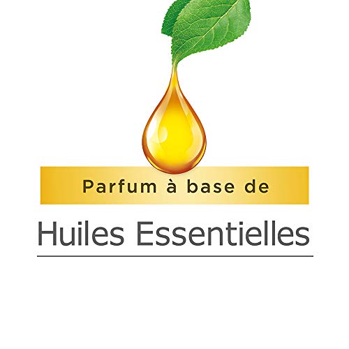 Air Wick Desodorisant Maison Freshmatic Max Huiles Essentielles Bois d'Ebène et Vanille, Diffuseur + Recharge