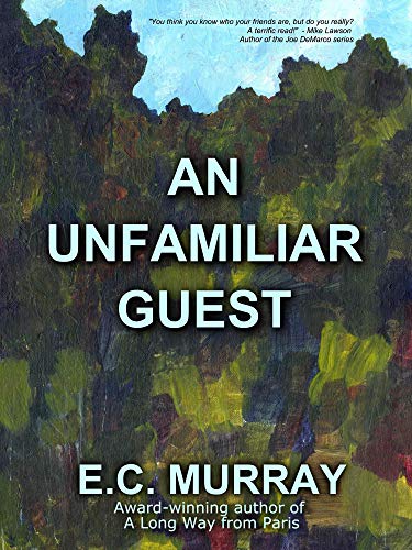 An Unfamiliar Guest (1) (English Edition)