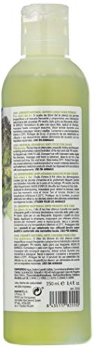 Arquivet Champú Natural antipicores para Perros con árbol de té 250 ml - Cuidado del Pelaje - Ayuda a una Buena higiene y Limpieza de Nuestra Mascota - Shampoo para Perros