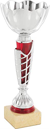 Art-Trophies AT81776 Trofeo Deportivo, Plateado/Rojo, 23 cm