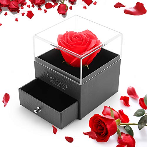 ASANMU Regalo para Rosa Eterna Artificial, Rosa Eterna Caja de Joyería Bella y la Bestia Rosa Caja de Joyería de la Madre Regalos Romántico para Esposa/Novia/San Valentín/Bodas/Cumpleaños/Madre