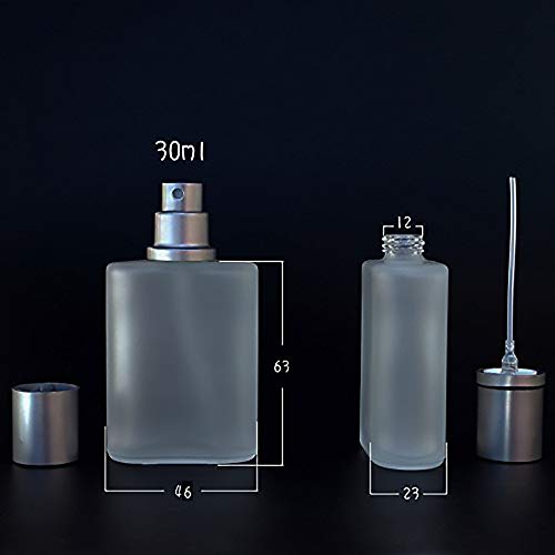 Atomizador de Perfume de Vidrio, 2 Piezas 30ml Mini Botella de Perfume de Vacío Recargable para Colonia y Aceite Esencial para el Hogar y el Viaje(Cap Plateado)