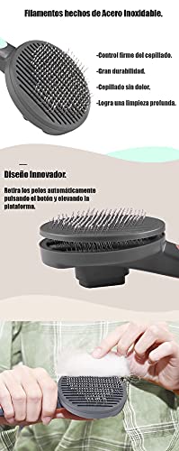 B-Home Cepillo Perros y Gatos, Peine para Mascotas Quitar y Remover el Pelo Muerto Carda con Púas Flexible de Acero Inoxidable para Desenredar y Peinar a Mascotas, Verde Claro