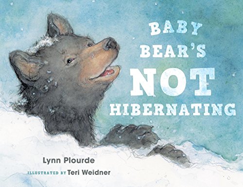 Baby Bear's Not Hibernating (English Edition)