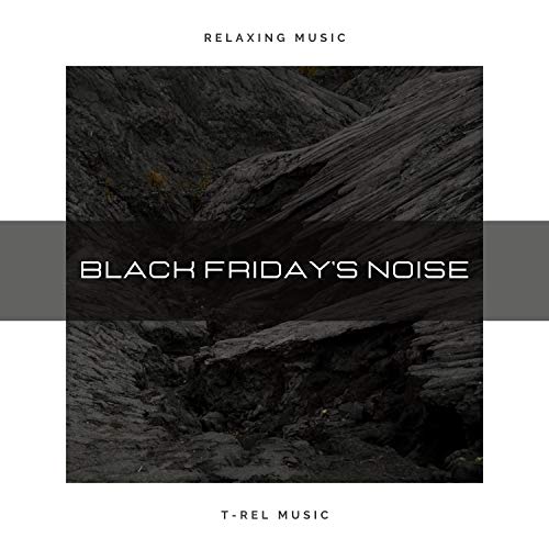 Black Friday's Noise