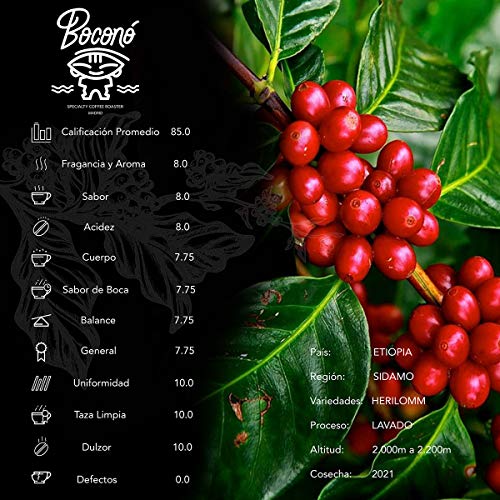 Boconó Specialty Coffee Etiopia Café De Especialidad En Grano 1 Kilo Arábica Tueste Natural Espresso V60 Chemex Aeropress Kalita Tostado Reciente Trazabilidad Completa Cafe En Grano Moka Italiana