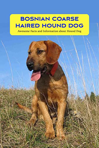 Bosnian Coarse Haired Hound Dog: Awesome Facts and Information about Hound Dog: Bosnian Coarse Haired Hound Dog Facts and Guide (English Edition)