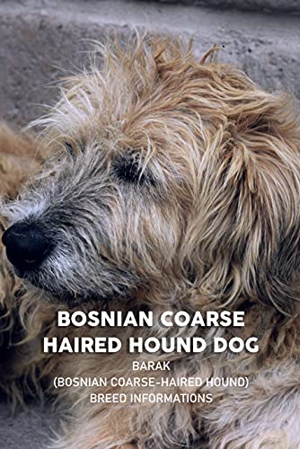 Bosnian Coarse Haired Hound Dog: Barak (Bosnian Coarse-haired Hound) Breed Informations: Barak (Bosnian Coarse-haired Hound) Breed Informations (English Edition)