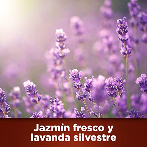 Botanical Origin Limpiador multiusos ecológico, Fragancia Jazmín Fresco y Lavanda Silvestre - 500 ml