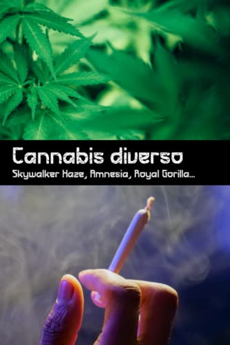 Cannabis diverso - Skywalker Haze, Amnesia, Royal Gorilla: Revisión para Marihuana visión general