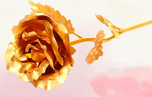 Cisixin Flor del Oro de 24K Rose Plateado para la Navidad Día de San Valentín de Cumpleaños