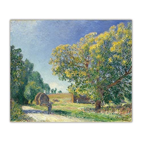 Cuadros decoracionUn Bosque Claro 1885 por Alfred Sisley Lienzo Pintura al óleo estética Cuadros Arte telón de Fondo Decoracion Decoracion del hogar60x80cm x1 Sin Marco