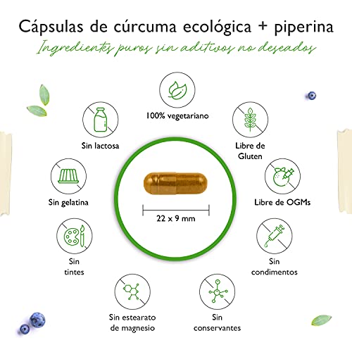 Cúrcuma orgánica - 365 cápsulas veganas - 4560 mg (cúrcuma orgánica + pimienta negra) por porción diaria - Con curcumina y piperina - Altamente dosificado - Vegano