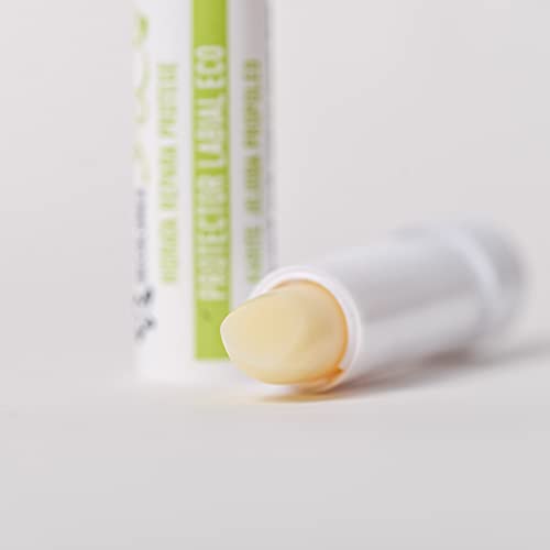 Decolores | Stick Protector Labial Ecológico y Natural | Barra de Labios | Hidrata y Protege tus Labios Frente a los Agentes Externos | Perfecto para Regalar