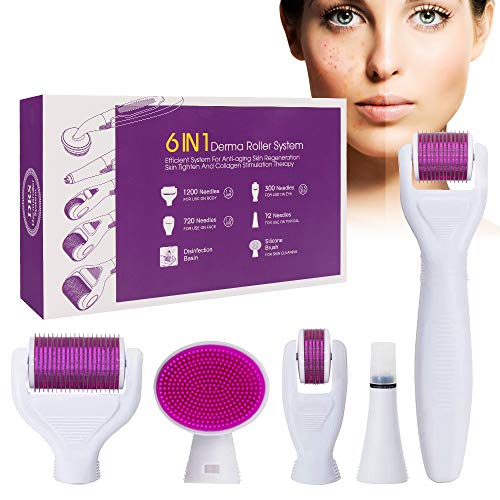 Dermaroller, Derma Roller Kit 6 en 1, Rodillo Agujas, Derma Roller 1.5/1.0/0.5mm por para reducir arrugas, puntos oscuros, cicatrices, celulitis, estrías para usar en cara, ojos, cuerpo