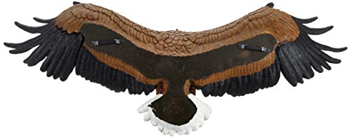 Design Toscano Freedom's Pride American Bald Eagle DB43006-Figurín para jardín, A Todo Color, Standard