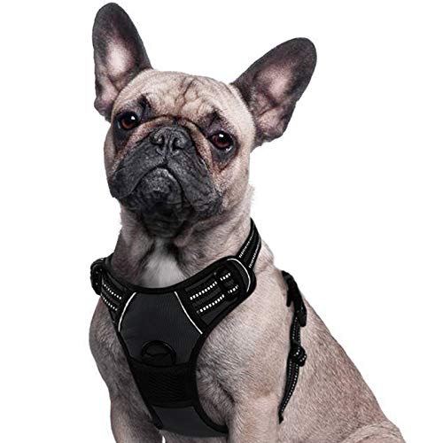 Eagloo Arnes de Perro Antitirones Cómodo Chaleco Ajustable Correa al Cuello y Pecho para Perros Pequeños Material Duradero Transpirable con Cinta Reflectante Adaptarse a Ejercer Externo S/Negro