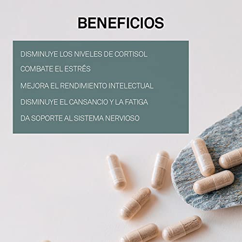 Electra | Suplemento 100% herbal con Ashwagandha Sensoril® | Antiestrés y Alivio de Ansiedad, Potenciar Energía y Concentración, Mejorar el Insomnio | Con Vitamina B3 y B5