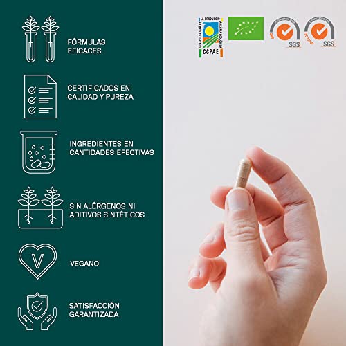 Electra | Suplemento 100% herbal con Ashwagandha Sensoril® | Antiestrés y Alivio de Ansiedad, Potenciar Energía y Concentración, Mejorar el Insomnio | Con Vitamina B3 y B5