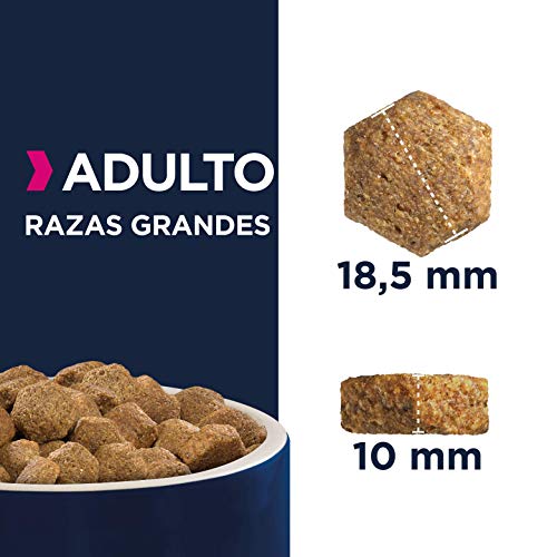 Eukanuba Alimento seco para perros adultos activos de raza grande, rico en pollo fresco 15 kg