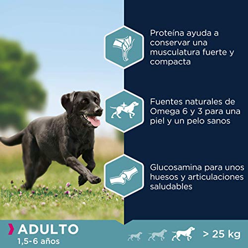 Eukanuba Alimento seco para perros adultos activos de raza grande, rico en pollo fresco 15 kg