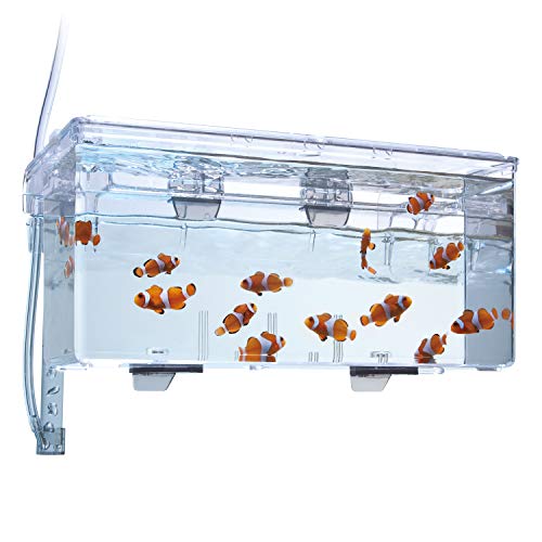 Fluval, Caja de Cría, 1,9 L