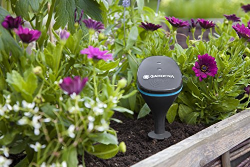 Gardena smart Sensor Exterior Integrado Inalámbrico - Sensor de temperatura y humedad (AA)