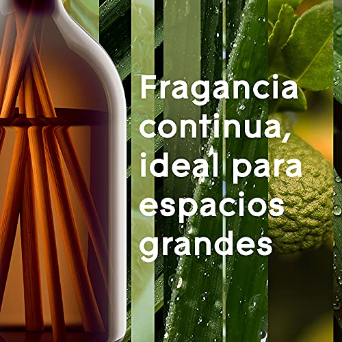 Glade Aromatherapy Varillas Fragancia Calm Mind, Líquido Con Aceites Esenciales, color Incoloro, 80 ml