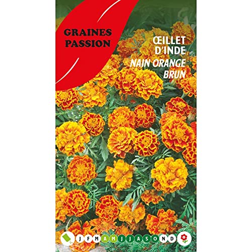 Graines passion bolsa de semillas Caléndula enana naranja-marrón