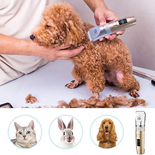 Hatteker Cortapelo Perro Profesional Cortadoras Pelo Perro Mascota Gato Maquina Cortar Pelo Perros USB Recargable