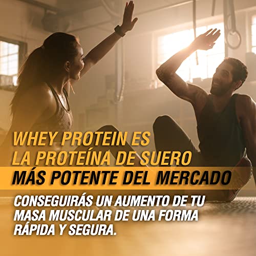 Healthy Fusion Whey Protein - Proteína whey pura con colágeno + magnesio, mejora tus entrenamientos, protege y aumenta la masa muscular, 1000g de proteína (vainilla)