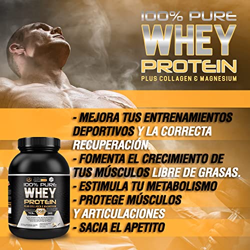 Healthy Fusion Whey Protein - Proteína whey pura con colágeno + magnesio, mejora tus entrenamientos, protege y aumenta la masa muscular, 1000g de proteína (vainilla)