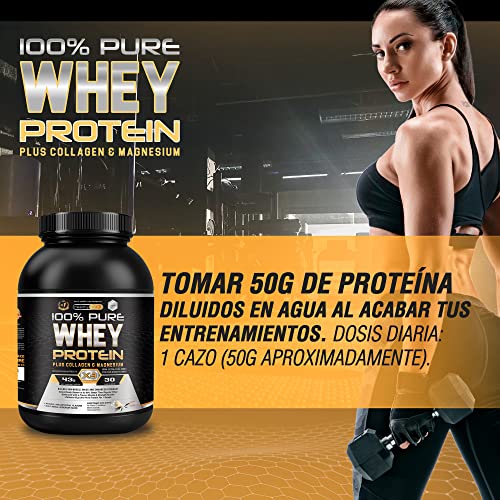 Healthy Fusion Whey Protein - Proteína whey pura con colágeno + magnesio, mejora tus entrenamientos, protege y aumenta la masa muscular, 1000g de proteína (vainilla)