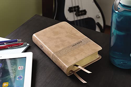 Holy Bible: New International Version, Teen Study Bible, Brown, Leathersoft, Comfort Print