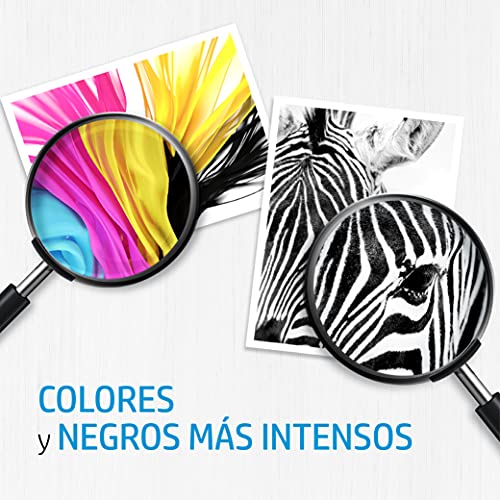 HP 304XL N9K07AE, Tricolor, Cartucho de Tinta de Alta Capacidad Original, Compatible con impresoras de inyección de tinta HP DeskJet 2620, 2630, 3720, 3730, 3750, 3760; HP Envy 5010, 5020, 5030