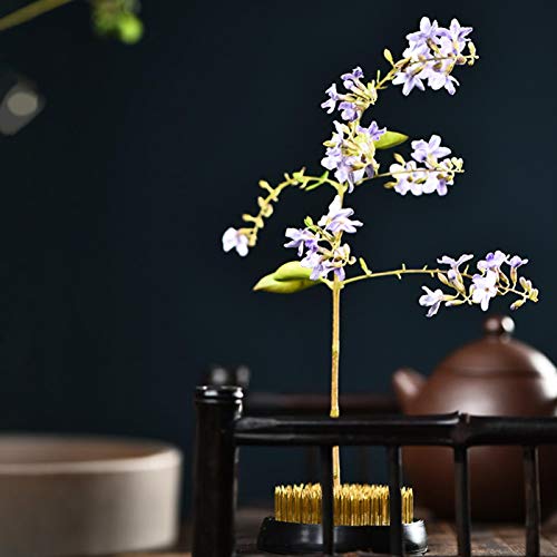 Juego de herramientas de fijación para decoración de arreglos florales de flores Kenzan, juego de accesorios de cinta de tijera de alambre de hierro Kenzan