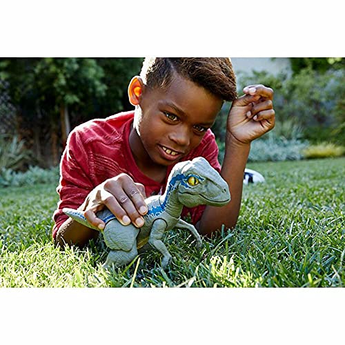 Jurassic World Baby Blue Dino Velociraptor, dinosaurio de juguete (Mattel GFD40)