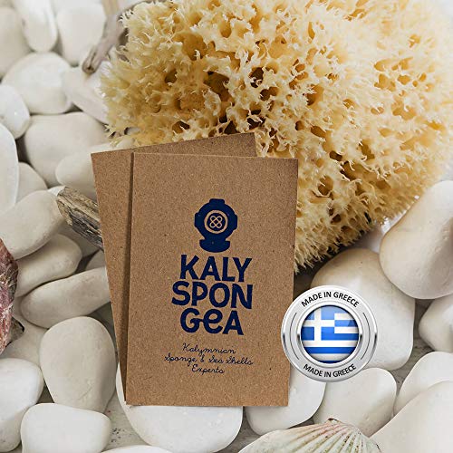 Kalyspongea® - Esponja de playa 100% natural, grande, 12 – 13 cm, de Grecia de alta calidad, fuerte y resistente, exfoliante de baño para ducha, cuerpo vegetal, marina, paquete para regalo