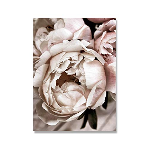 KELEQI Flor Rosa Peonía Pintura en Lienzo Cartel de Rosas nórdicas e impresión Imagen de Pared Siempre bésame Buenas Noches Cita Decoración (50x70cm) X2 Sin Marco