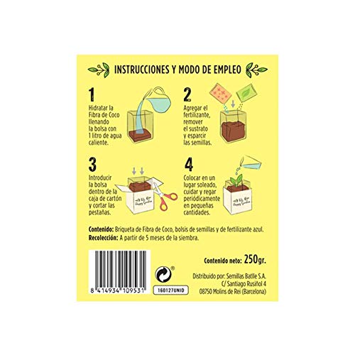 Kit cultivo Happy Garden Tomate Cherry