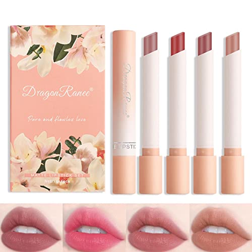 Lápiz labial mate a prueba de agua, juegos de regalo de maquillaje de labios pigmentados para niñas y mujeres, lápiz labial de ladrillo rojo pardo rojo chilli navideño para otoño invierno, regalos de